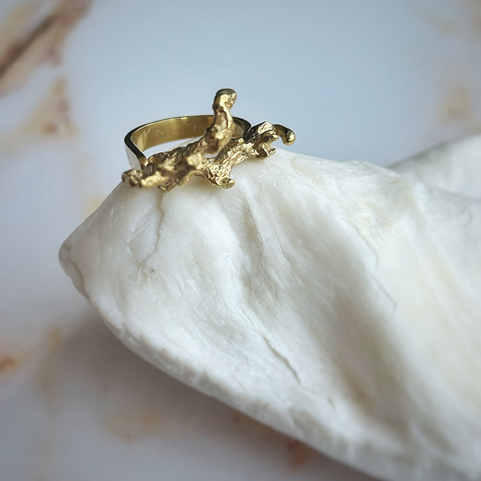 Anillo Maryae