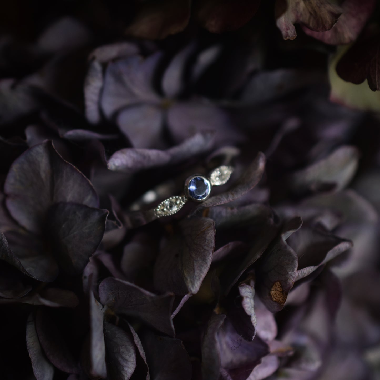 Anillo hojas