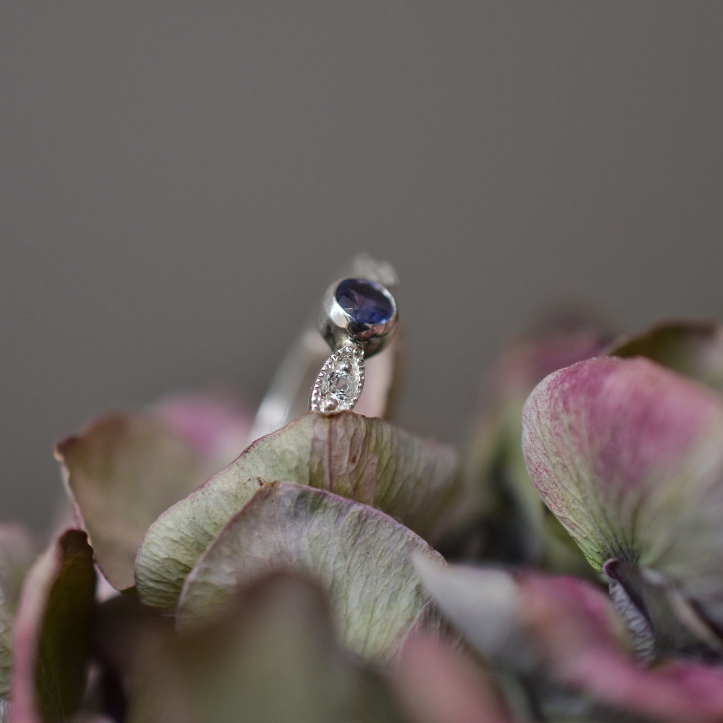 Anillo hojas