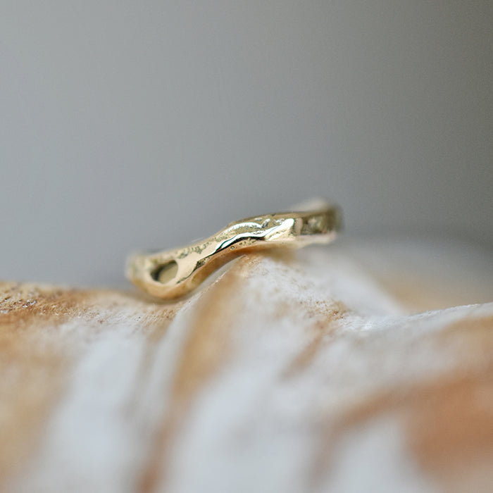 Anillo de la vida