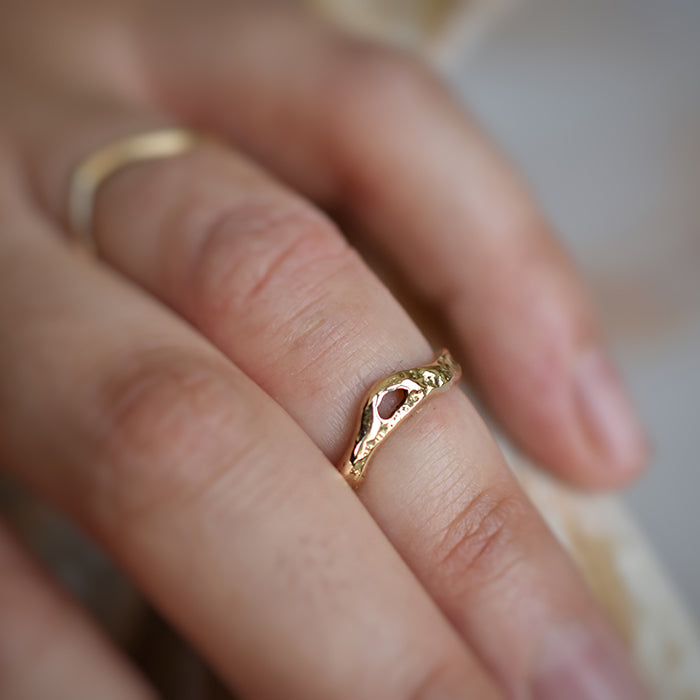 Anillo de la vida