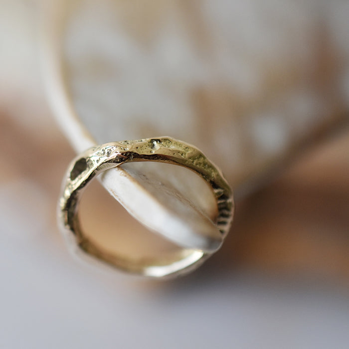 Anillo de la vida