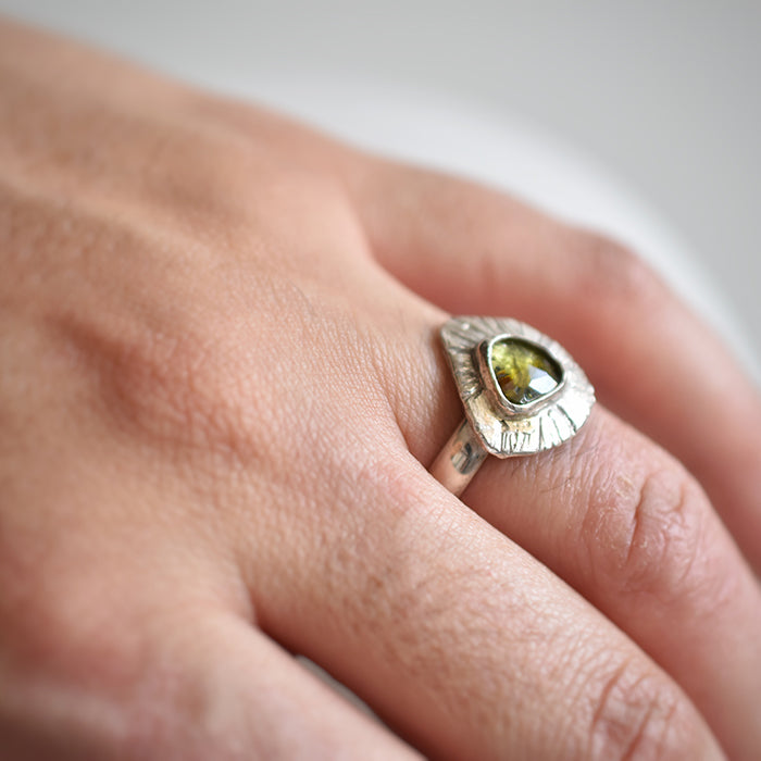 Anillo Percebes
