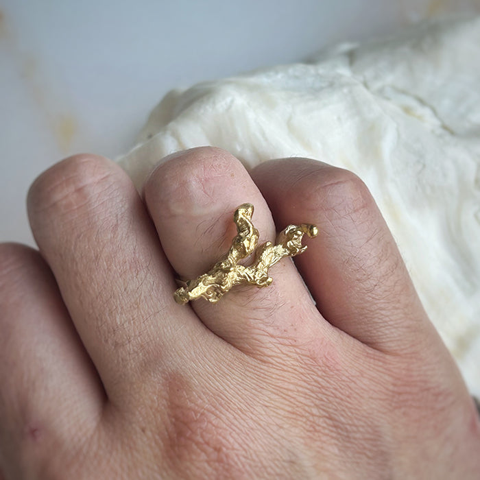 Anillo Maryae