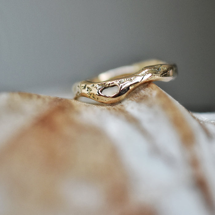 Anillo de la vida