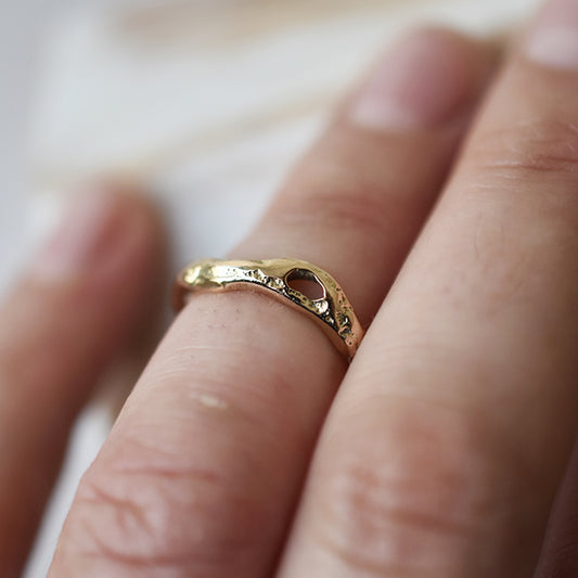 Anillo de la vida