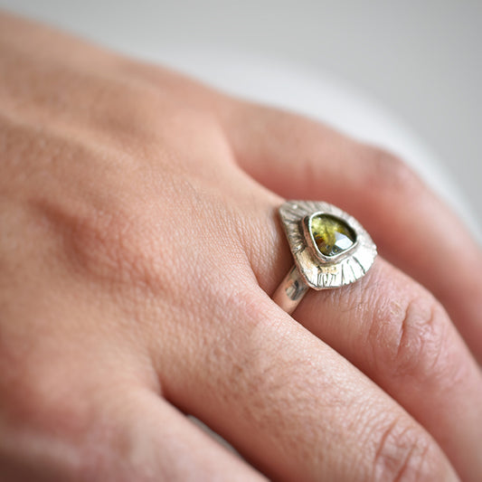Anillo Percebes