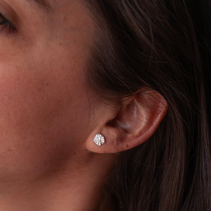 Aros mini Percebes